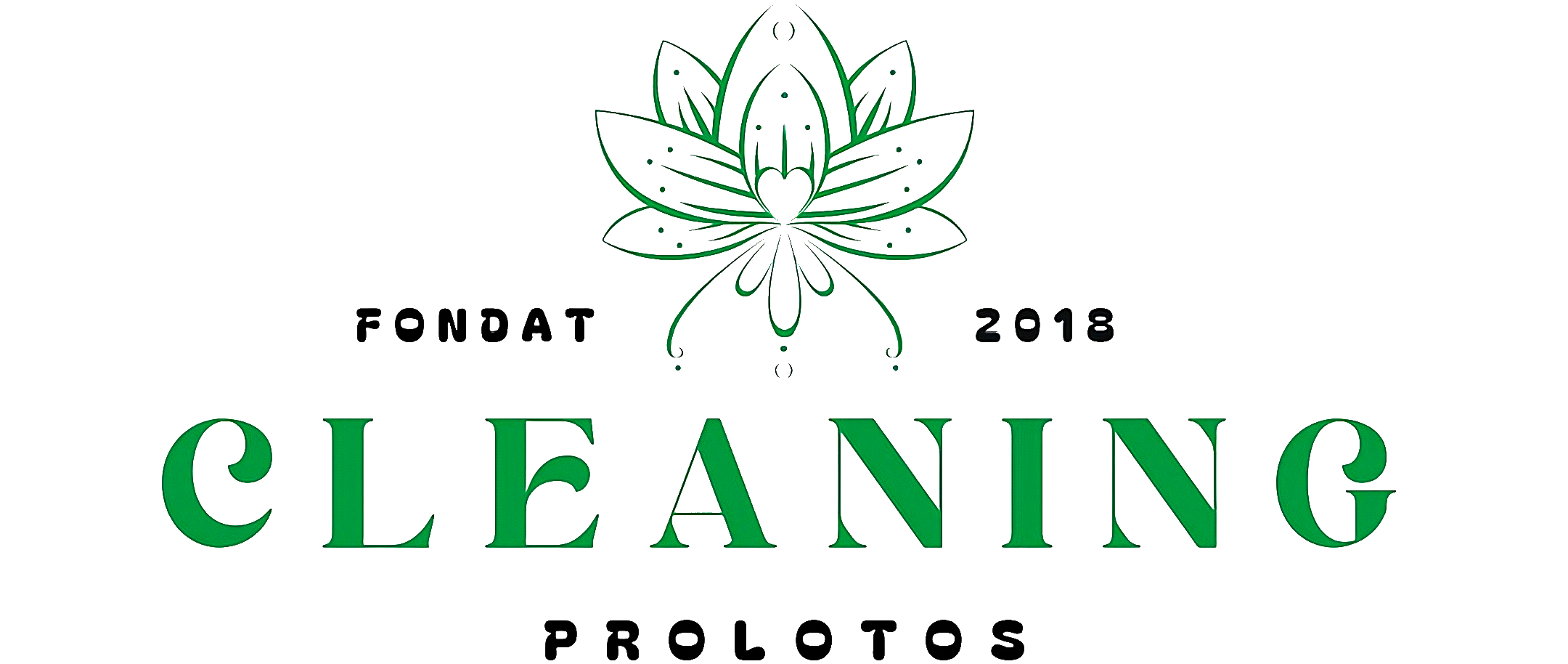 ProLotos – Soluții Complete de Curățenie